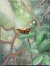 Butterfly in the Forest by Kathryn Gray